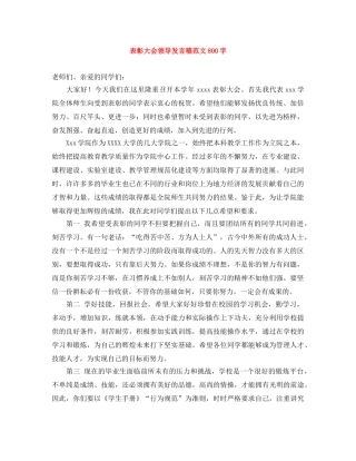 表彰大会领导发言稿范文800字 