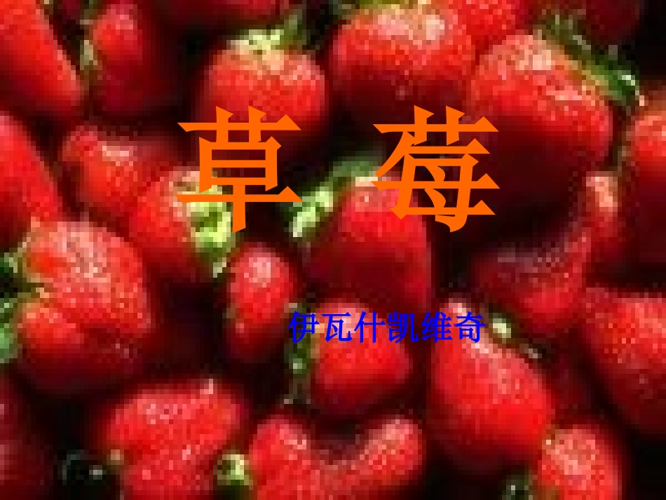 九年级语文上册-第一单元-《草莓》课件-语文版_第1页