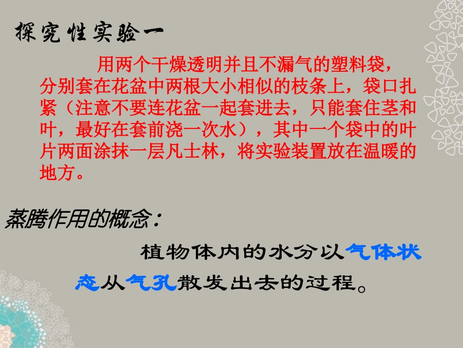 八年级生物上册-第六章《植物的蒸腾作用与植树造林》课件2-冀教版_第2页