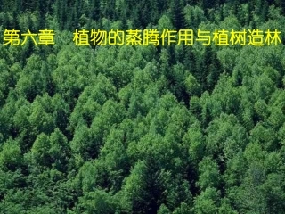 八年级生物上册-第六章《植物的蒸腾作用与植树造林》课件2-冀教版
