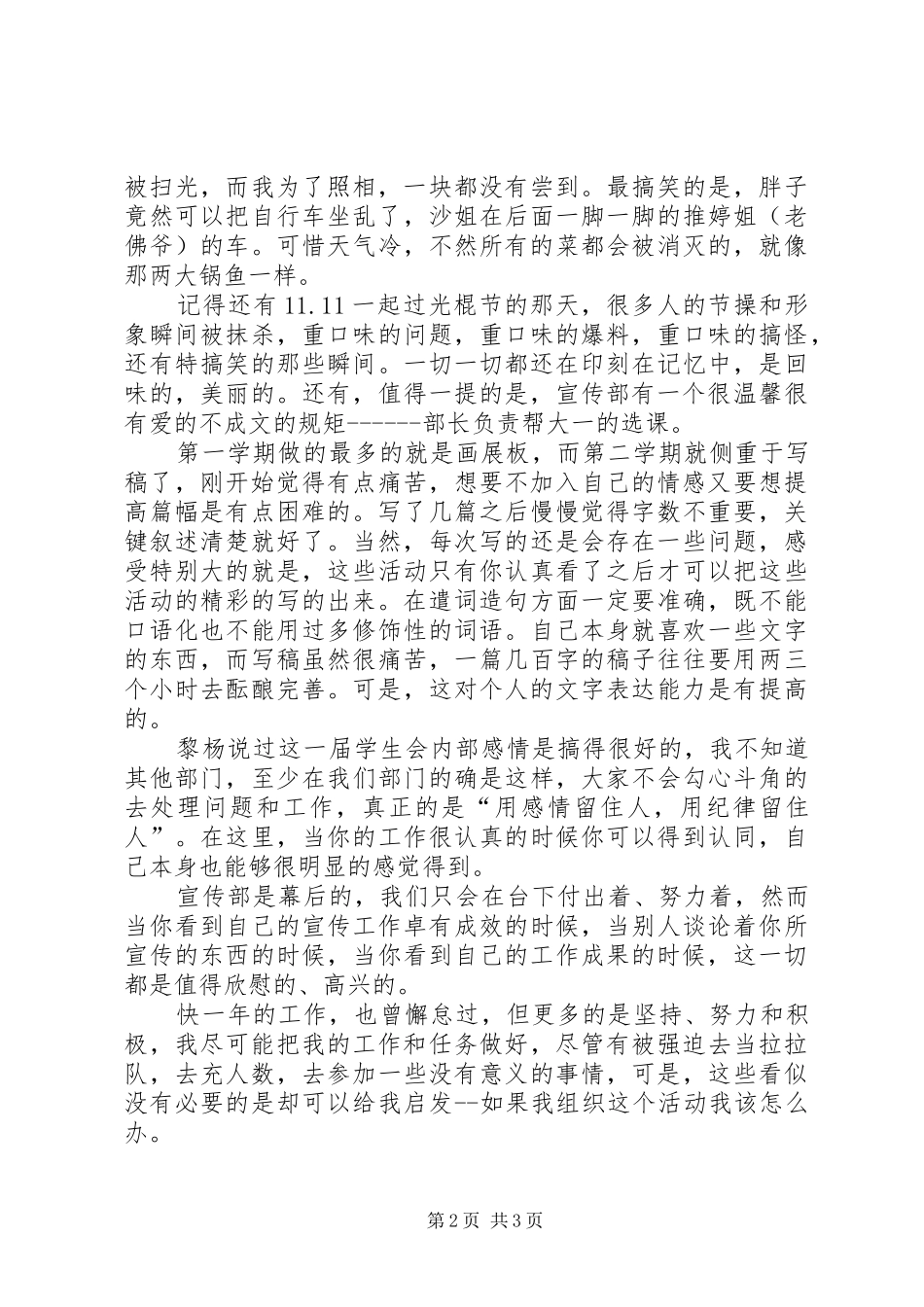 宣传部个人工作总结 (22)_第2页