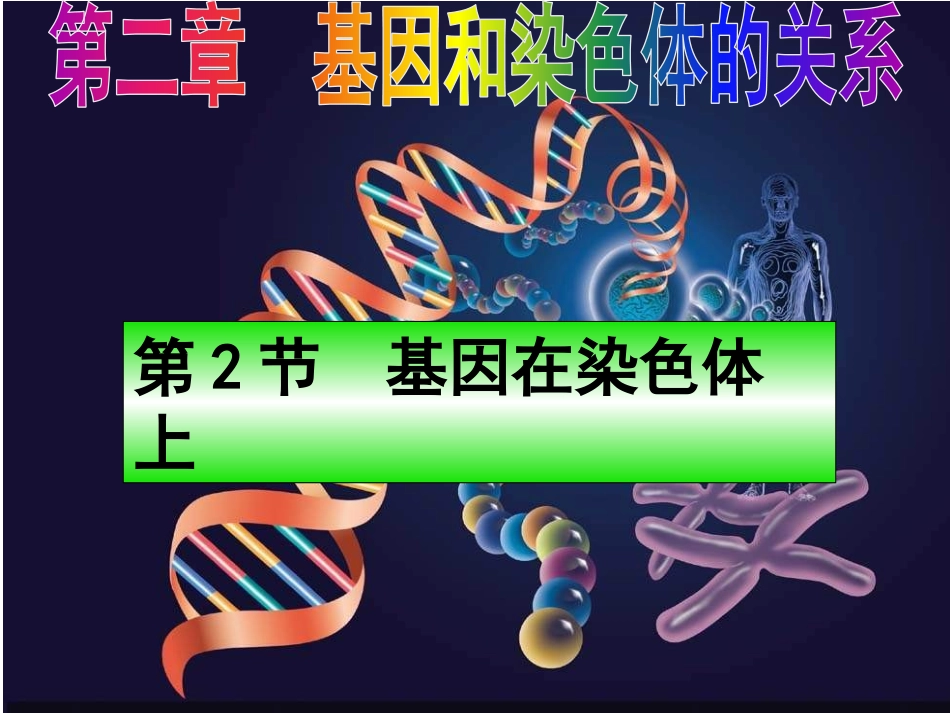 基因在染色体上_第1页