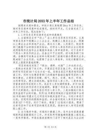 市统计局20XX年上半年工作总结