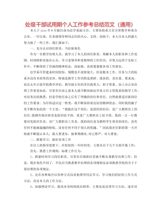 处级干部试用期个人工作参考总结范文（通用） 