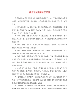 新员工试用期转正评语2 