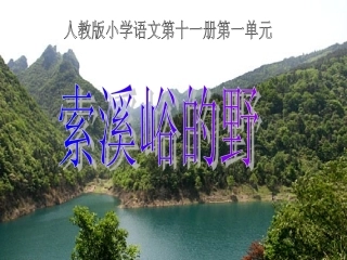 4索溪谷的”野“课件1