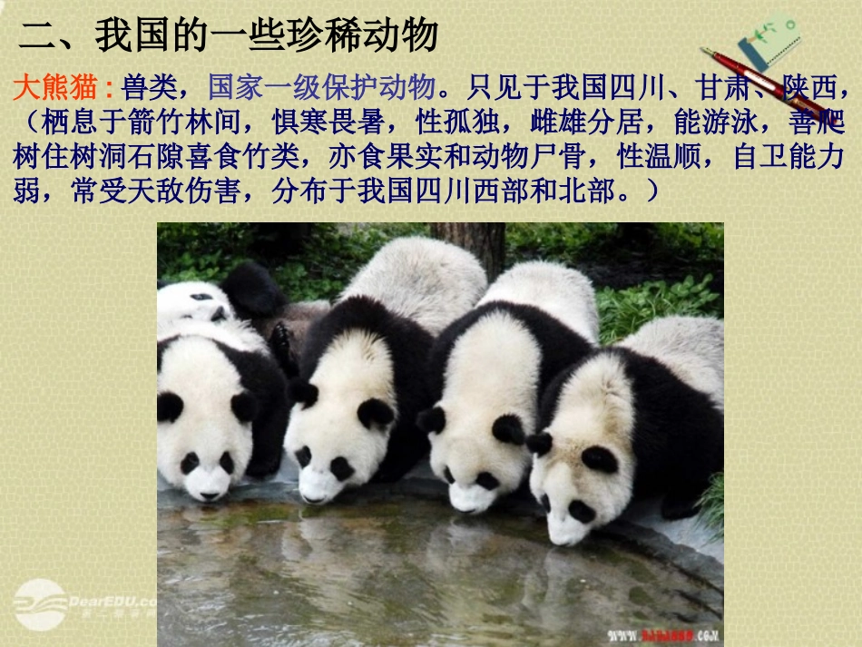八年级生物上册《我国的动物资源》课件2-北师大版_第2页