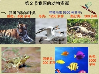 八年级生物上册《我国的动物资源》课件2-北师大版