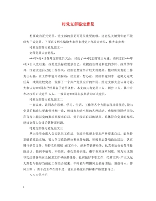 村党支部鉴定意见 