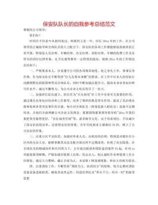 保安队队长的自我参考总结范文 