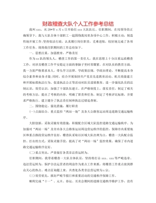 财政稽查大队个人工作参考总结 