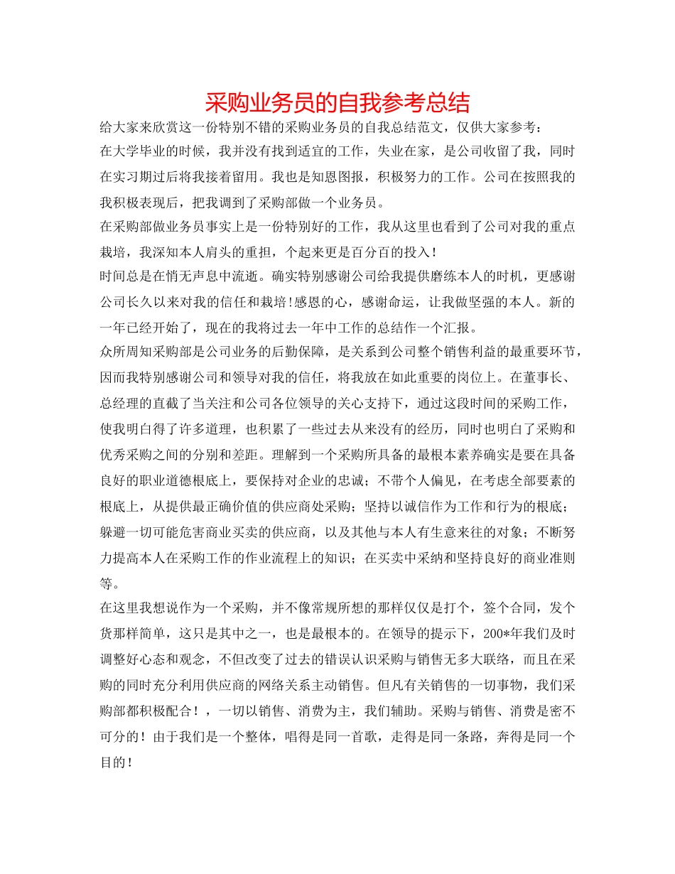 采购业务员的自我参考总结 _第1页