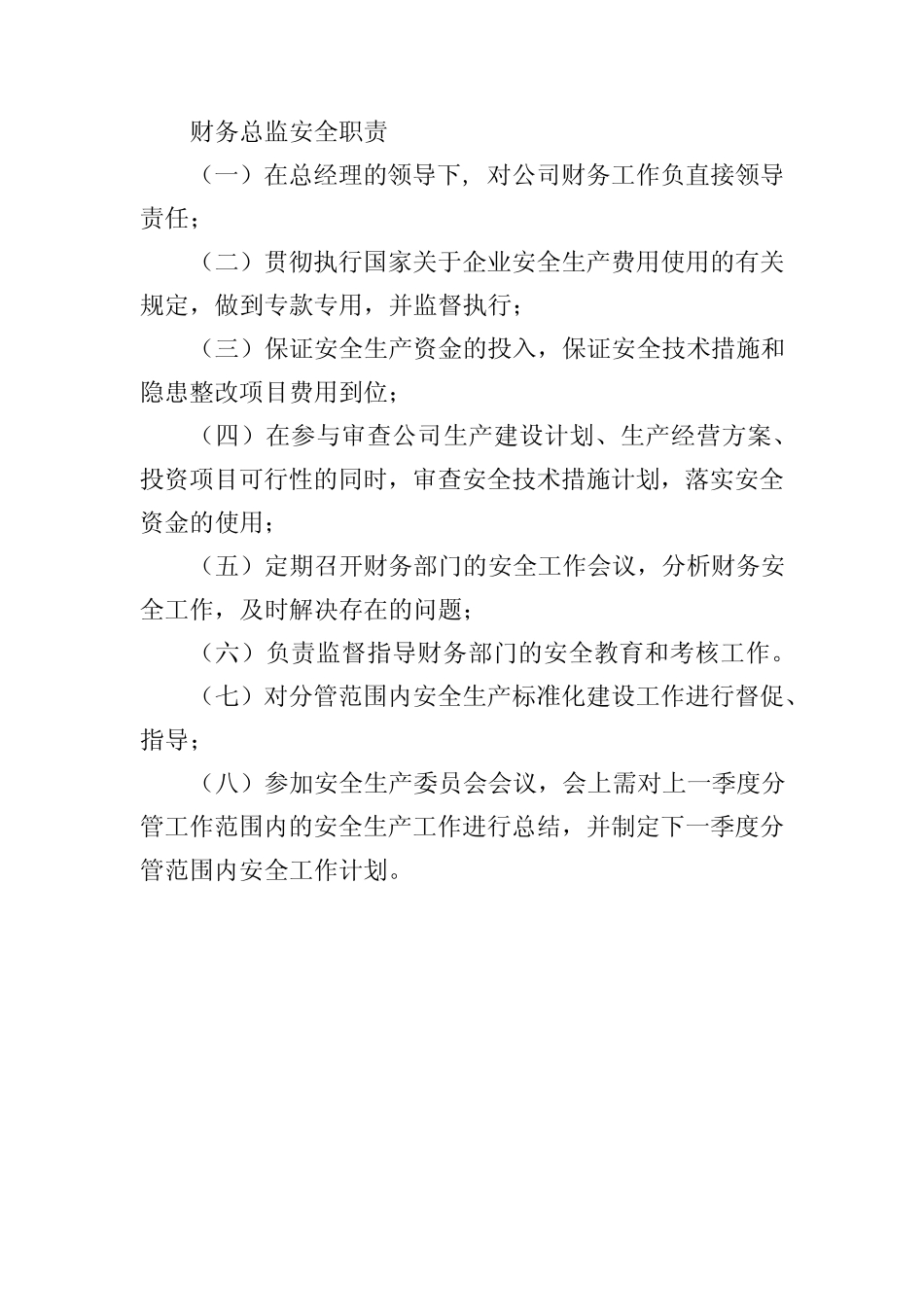 财务总监安全职责 _第1页