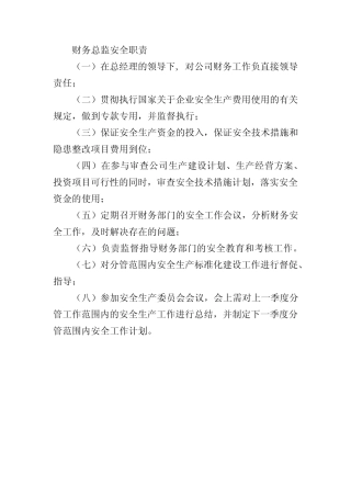 财务总监安全职责 