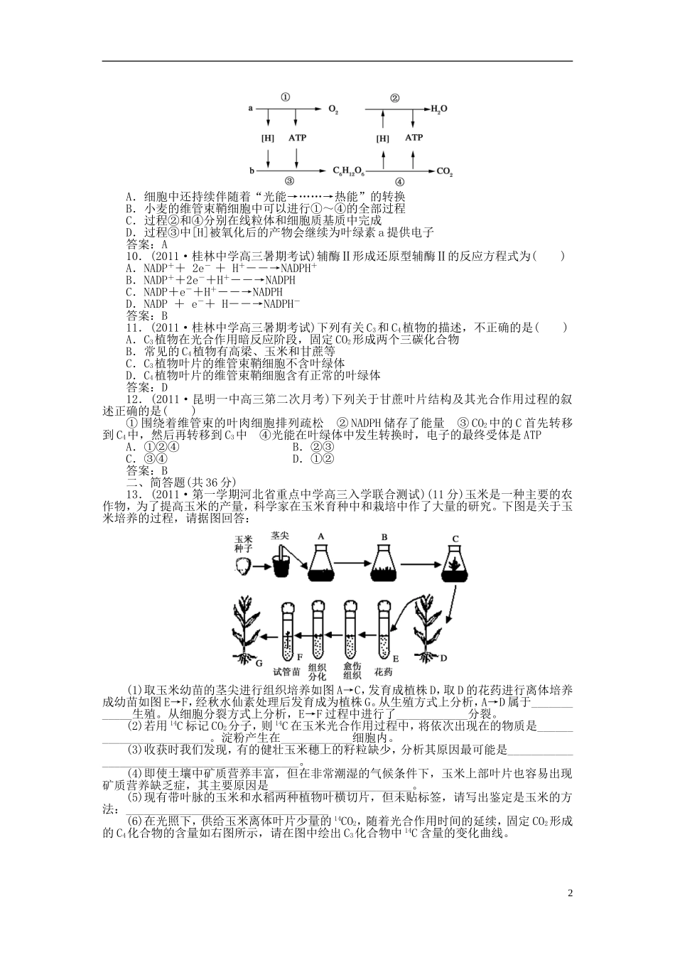 2012届高三生物总复习-2-第三讲-C3植物和C4植物同步练习_第2页
