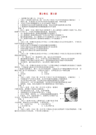 2012届高三生物总复习-2-第三讲-C3植物和C4植物同步练习
