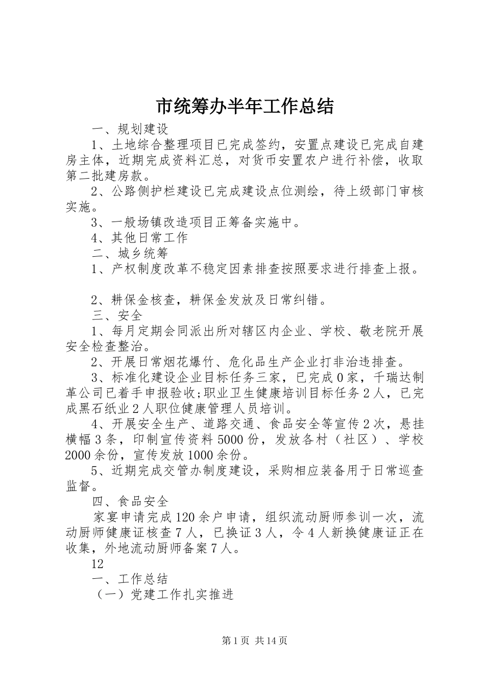 市统筹办半年工作总结 _第1页