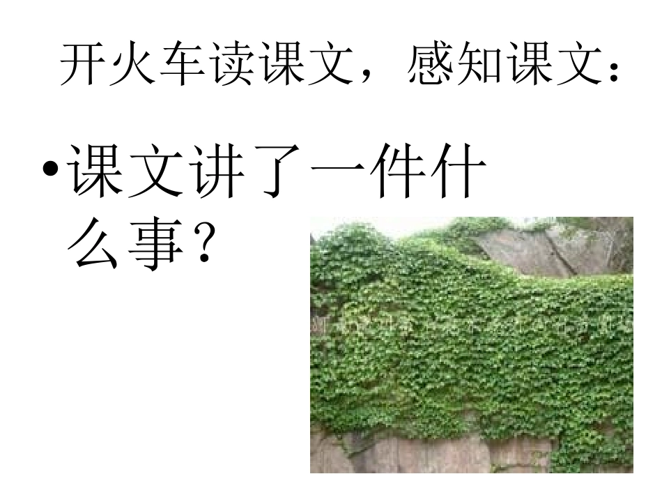 931《爬山虎的脚》课件_第3页