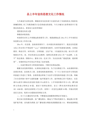 县上半年宣传思想文化工作情况 