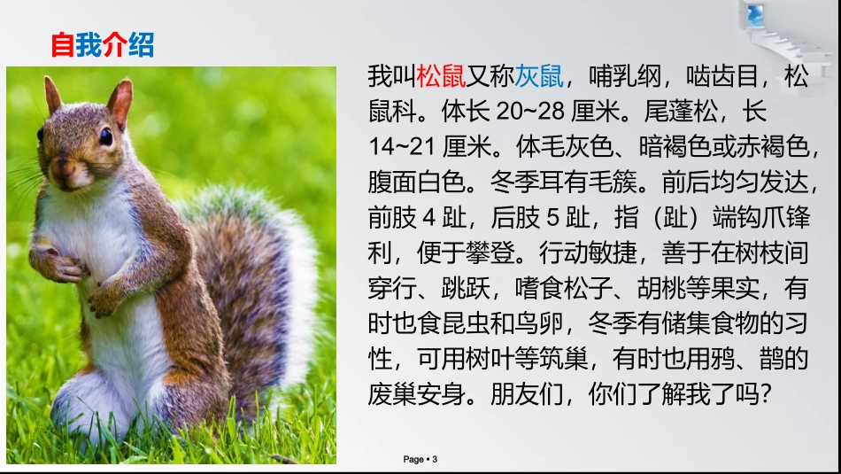 十五《松鼠》_第3页