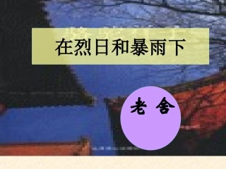 九年级语文上册-第7课《在烈日和暴雨下》课件-苏教版