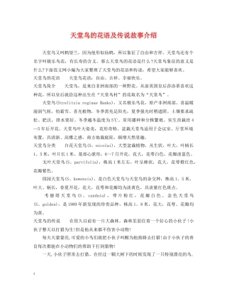 天堂鸟的花语及传说故事介绍 