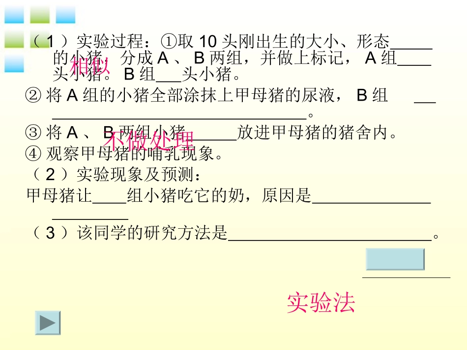 八年级生物上册-第三节社会行为课件-人教新课标版_第3页