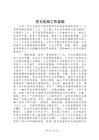 市文化局工作总结 