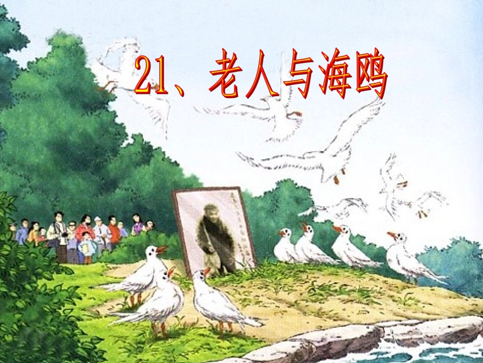 《老人与海鸥》课件_第1页