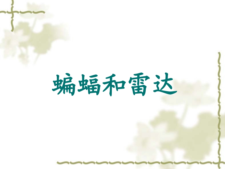 蝙蝠和雷达 (5)_第1页