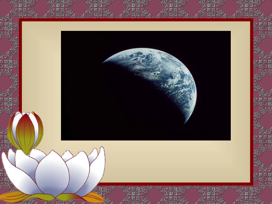 保护小动物dongwu_第3页