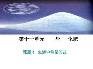 课题1生活中常见的盐