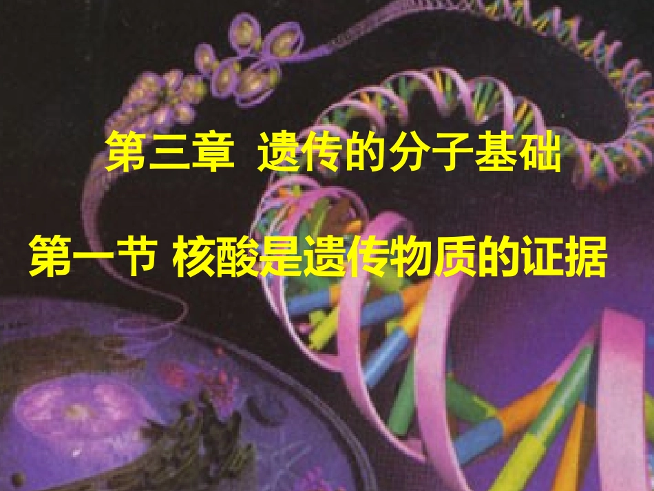 核酸是遗传物质的证据姚益娟_第1页