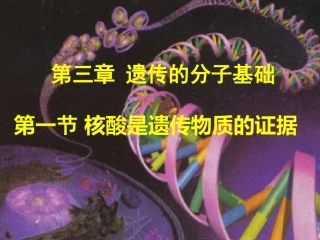 核酸是遗传物质的证据姚益娟