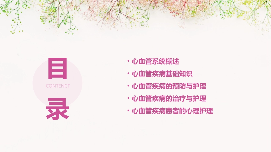 人卫版心血管系统教学护理课件_第2页