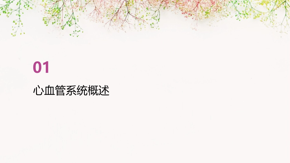 人卫版心血管系统教学护理课件_第3页
