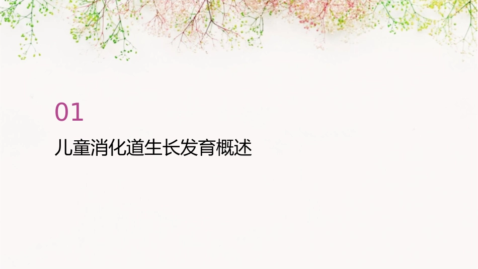 儿童保健之儿童消化道生长发育护理课件1_第3页