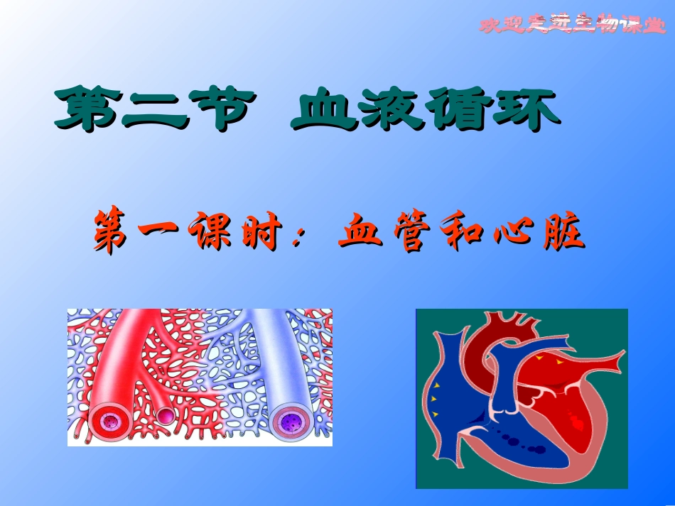 苏教版七年级下册第4单元生物圈中的人第10章人体内的物质运输和能量供给第二节人体内的血液循环（共34张PPT）_第3页