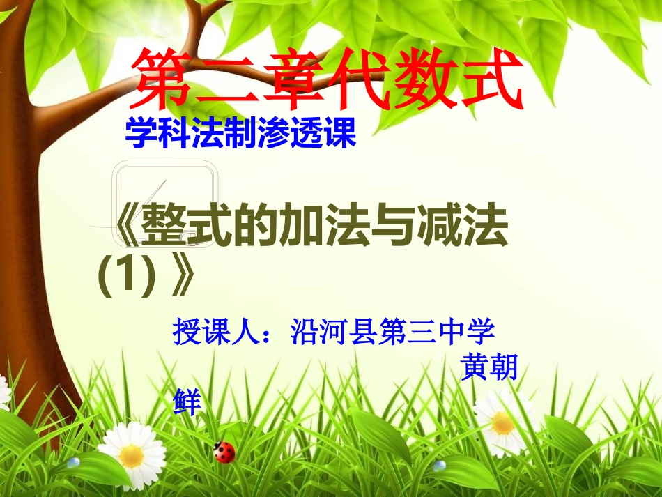 评比《整式的加法和减法1》_第3页