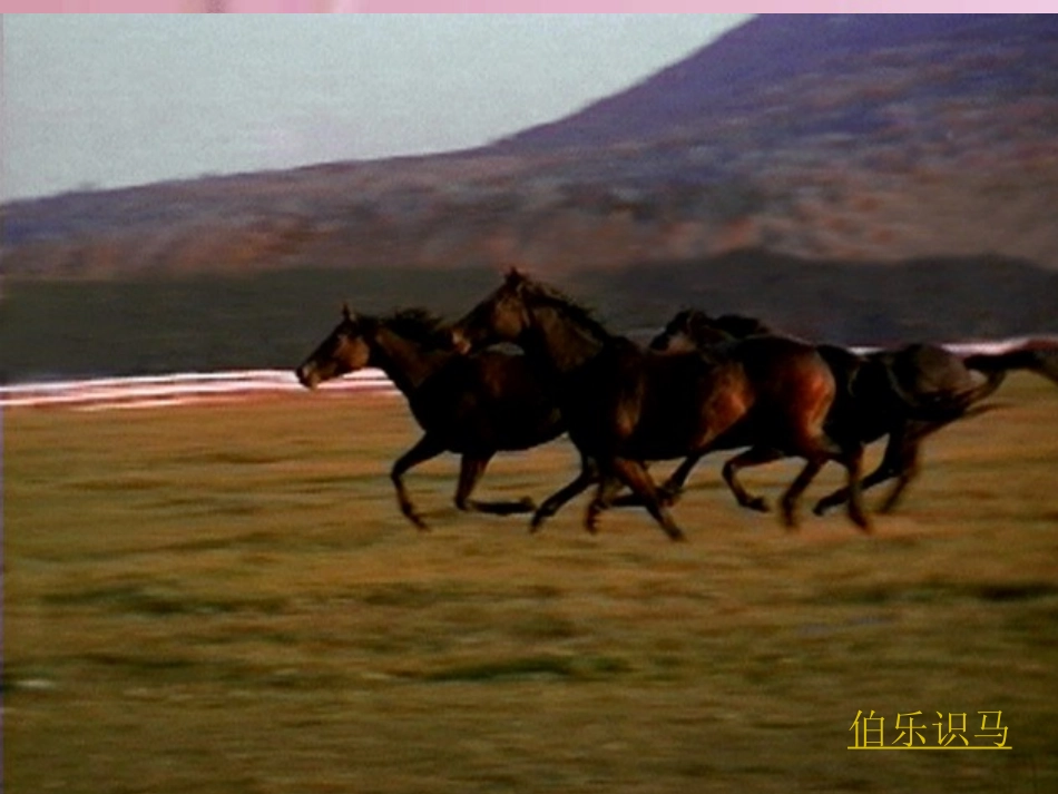 九年级语文上册-《马说》课件-语文版_第1页