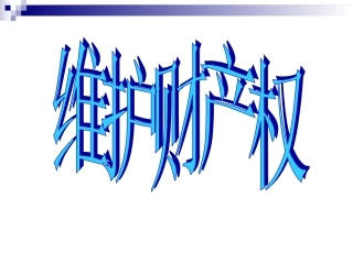 《维护财产权》课件2