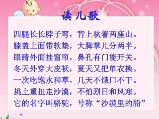 语文找骆驼.