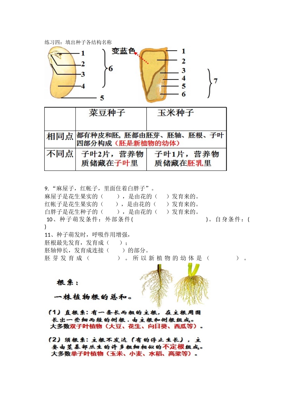 济南版生物八年级上册复习题_第3页