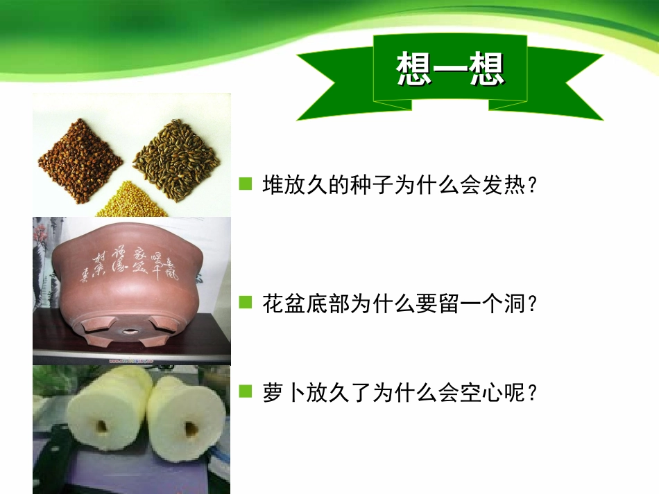 第二节绿色植物的呼吸作用_第3页