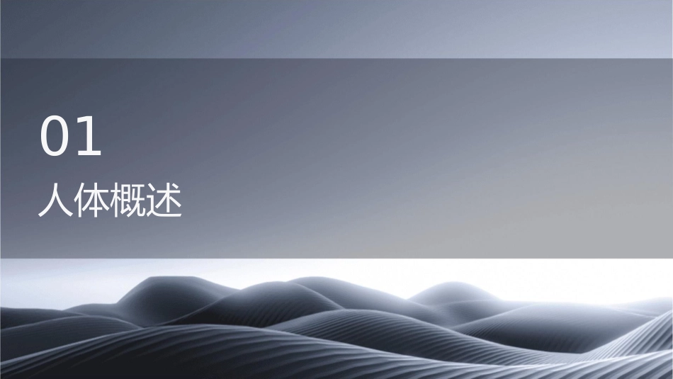人体概述及儿童点的《运动系统》课件1_第3页