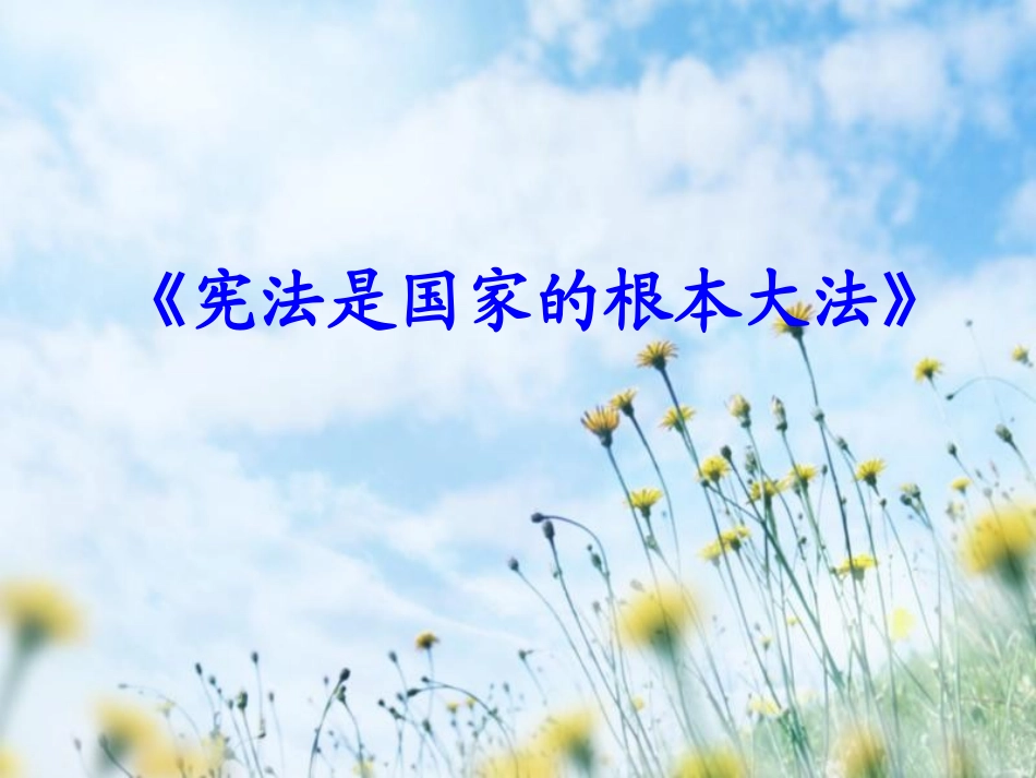 上课宪法是国家的根本大法5_第1页