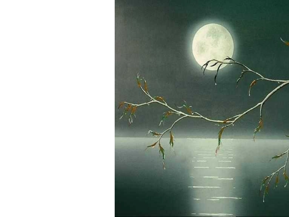 虞美人幻灯片_第1页