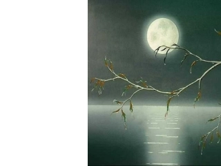 虞美人幻灯片