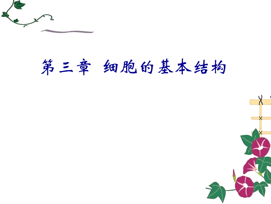 细胞膜系统的边界_第1页