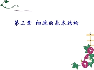 细胞膜系统的边界